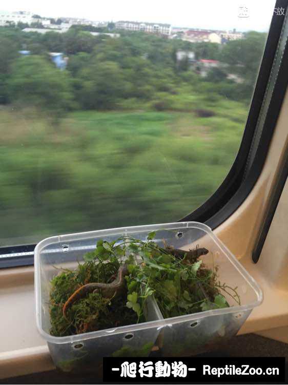 085257midaiy567ynz16i5.jpg