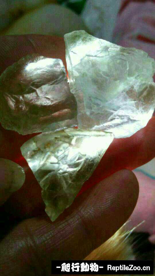 085651qsg0g49bzumguumm.jpg