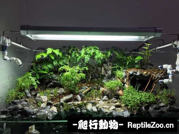 085857ozek159p11rw9ktg.jpg