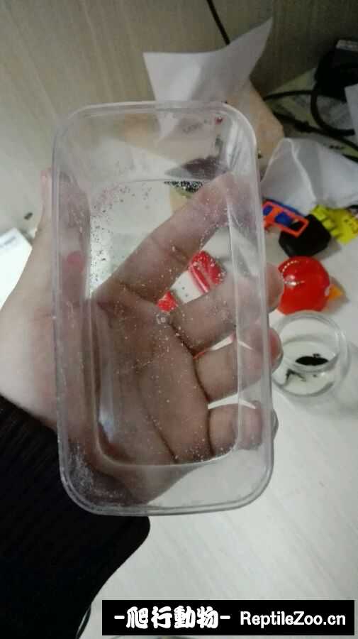 090118c828lq02828hm2la.jpg