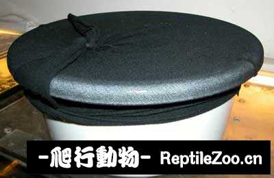 090941giis15o1zvii4isa.jpg