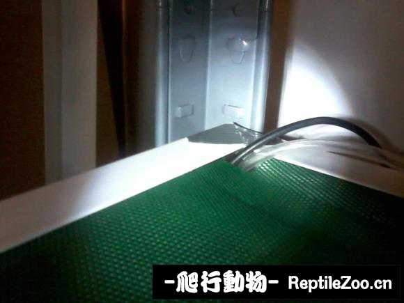 090947phmj13o7317k3zfk.jpg