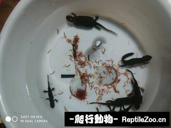 091003relvvz5ve59v1vd7.jpg