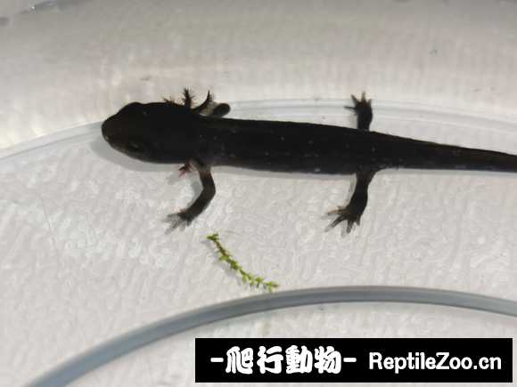 091322xzuoovpm079jrpcv.jpg