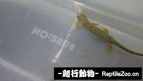 091955ojlfsmwl9lyj1fgp.jpg