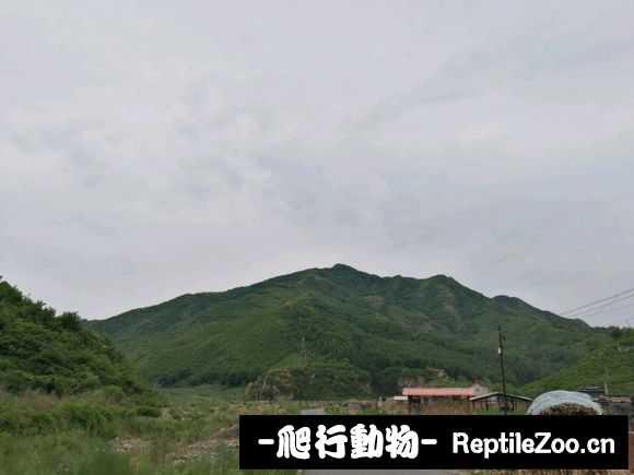 134029mi1rcrco2r2ozywk.jpg