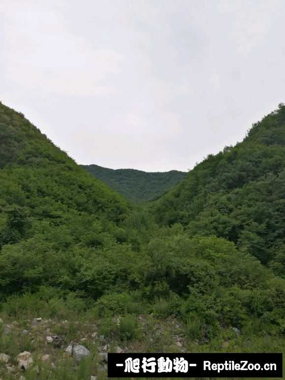 134029oaba88ya8a5ocyao.jpg