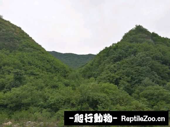 134030bmit99akohx4hcka.jpg