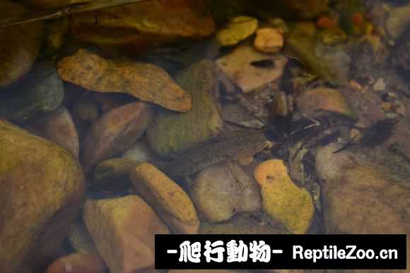 134037rkk80typk8rfwkl8.jpg