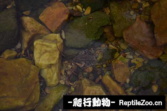 134039ruat04e4tawr1twu.jpg