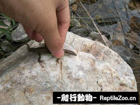 134045f0ilvlbkl00i90pz.jpg
