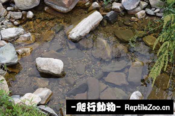 134059v6uu8eru08rgqqi0.jpg