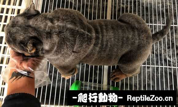 020025idaqfxzcgatq71p2.jpg