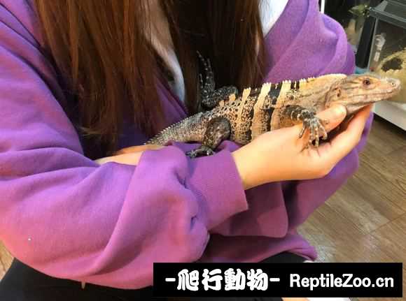 031522lgcxgtt99571qz11.jpg