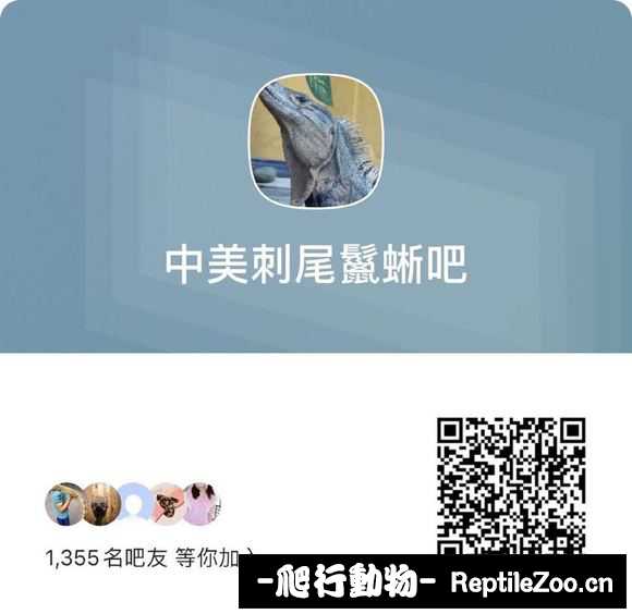 031526c55sr55a6aaprmbl.jpg
