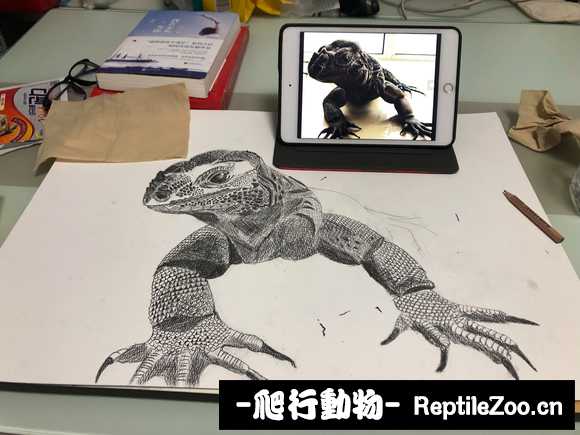 071034rahkqqa2q9j2s2pe.jpg