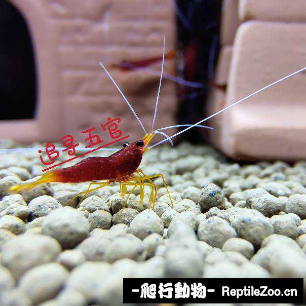 220504w7xunecewn68wuol.jpg