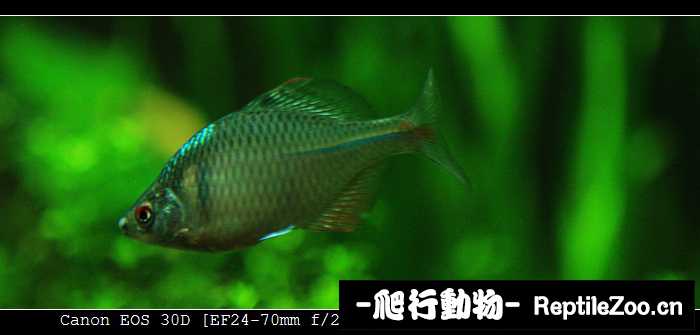 230010jjzt1t6hvrwhz1w4.jpg