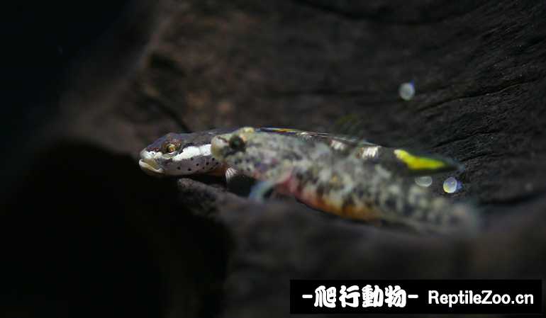 230514v61247u447z4bgz1.jpg