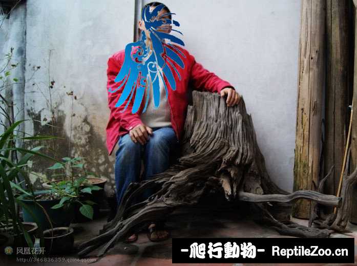 232020bqr01ko8896z88qc.jpg