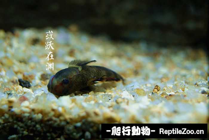001520p502g07mnpwf1wnp.jpg