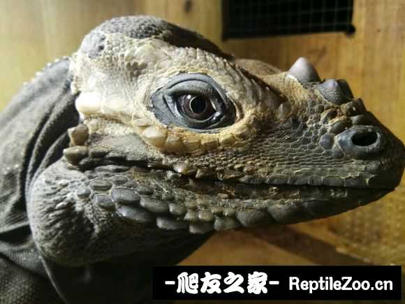 173204ijunpi5xu0lsp0ju.jpg
