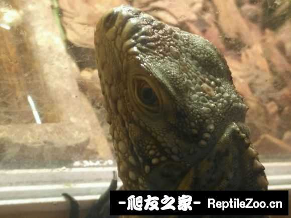 173347xm1tjy5e7zaq3tjj.jpg