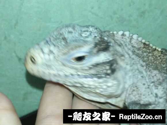 173412aacynzioqhqihr4t.jpg