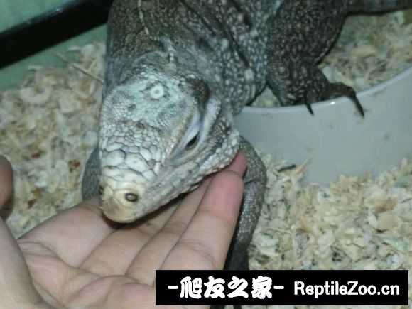 173412p698ul0880uuu0u4.jpg