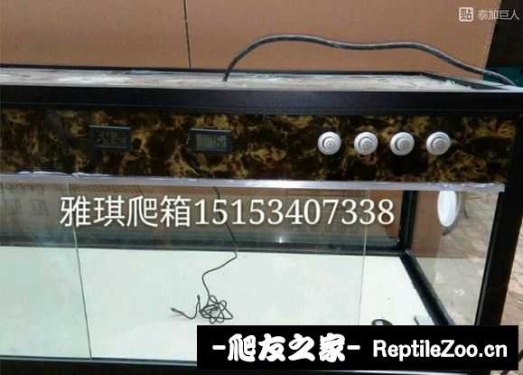 173522tmzfqft77z76mfch.jpg