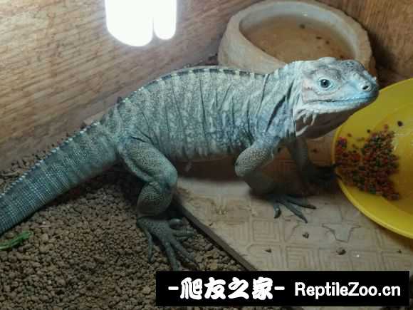 173700ldt4z4jt5fq5faxq.jpg