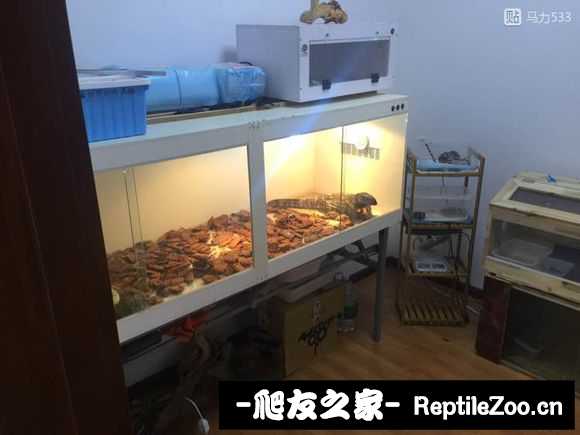 173837xmsmw7m2vo2ziydd.jpg