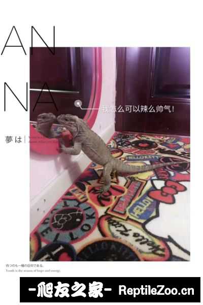 173949nstykmn8jgy8jz8b.jpg