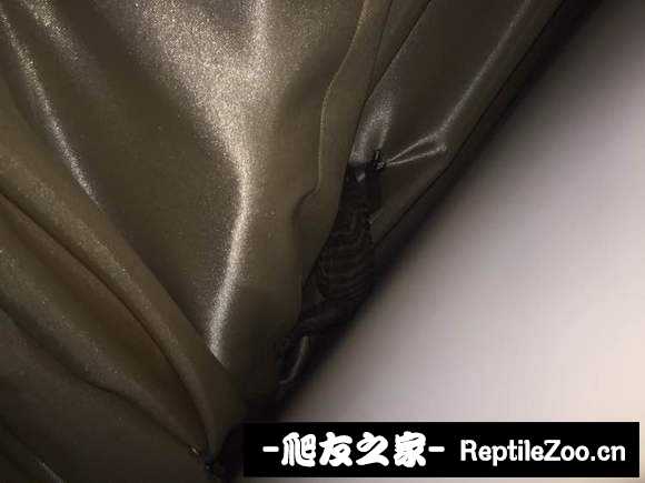 174739trx5u662xerb26e9.jpg