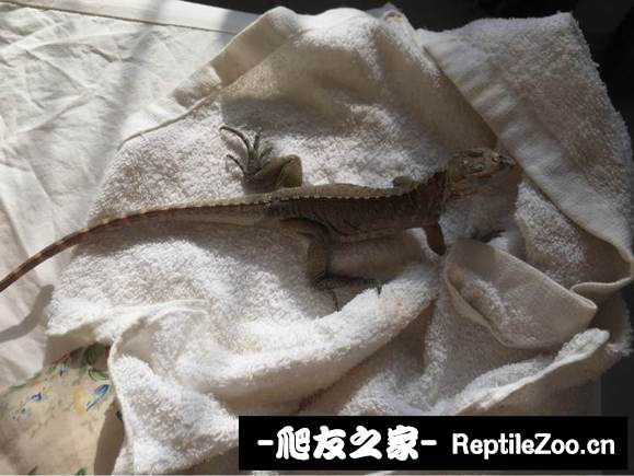 185505qbizawqse7adydpi.jpg