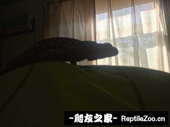 202507my77y6616eb615eg.jpg