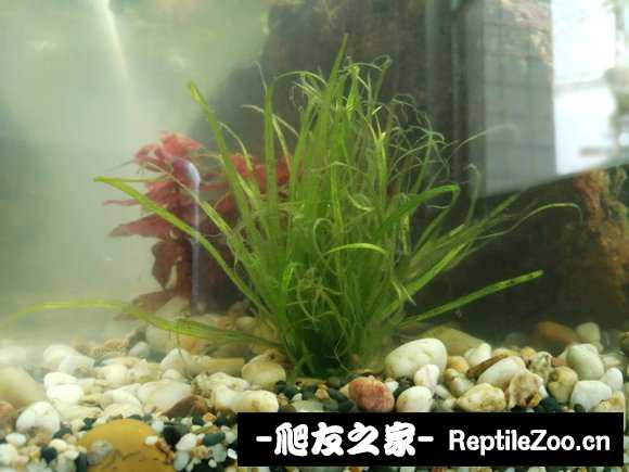 201002o2q4yc25o2fczmnp.jpg