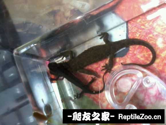 201036eyuljhsolonthkxu.jpg