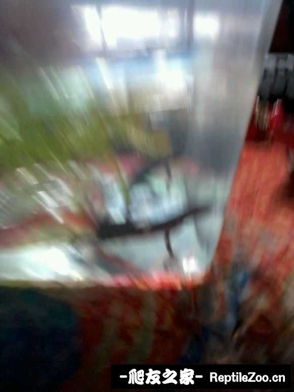 201043ucy1y3wk77aakcmz.jpg