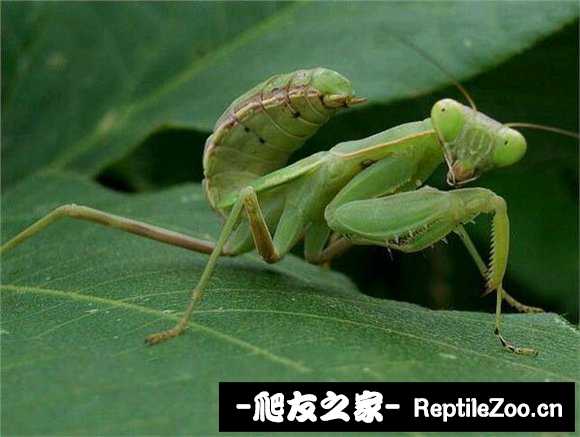 202515we2etph2ptpeylzr.jpg