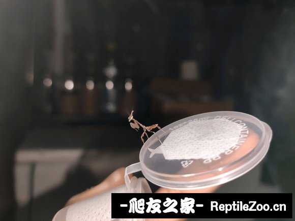 202959rkk42tqt5kgg34if.jpg