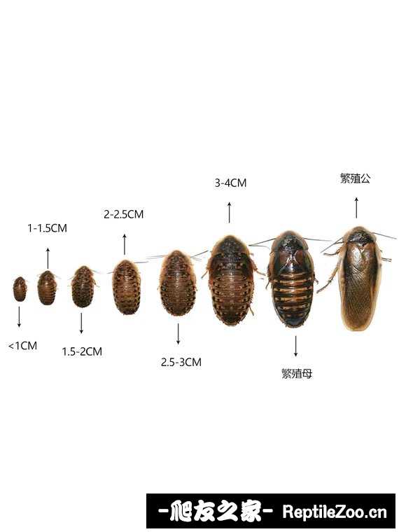 203007prb62cm4mu4mxc7m.jpg