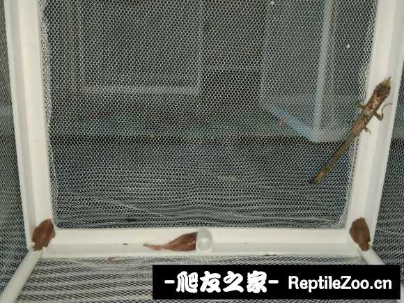 204402gc02m9n30l10sasl.jpg
