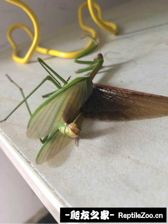 221038ej0ncrwhehvnyyoe.jpg