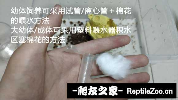 221529tynfbriprxyi4byb.jpg