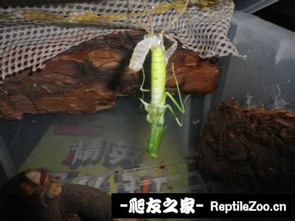 224831iikazfkw5pa5hezt.jpg