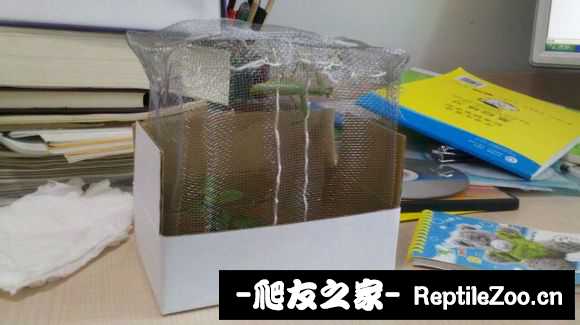 224832l2moaale8z24raom.jpg