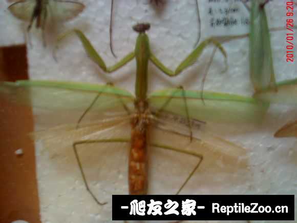 224833us6n1l4ssk4ekosk.jpg