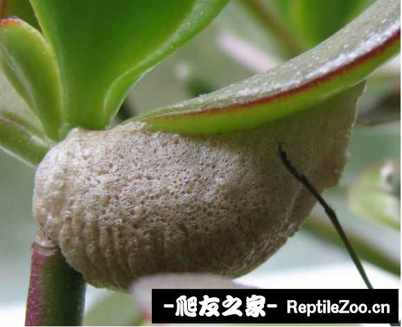 224834lhr8t7tc73wltlat.jpg