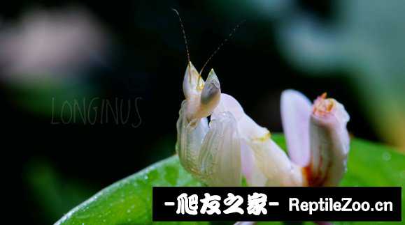 224941nnhm1h5mbqiqqvki.jpg